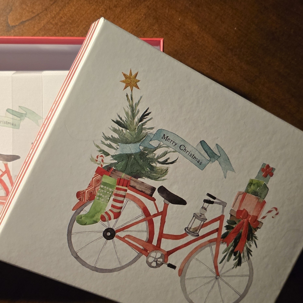 Box of 20 Christmas Bicycle Christmas Cards in Box